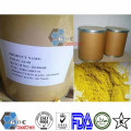 Folic Acid Powder in Bulk